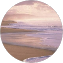 LIor H. profile picture